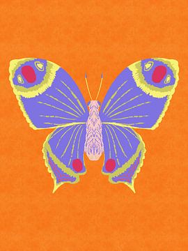 Sunset Butterfly by Aliya Putrus