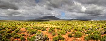 Knersvlakte Zuid-Afrika
