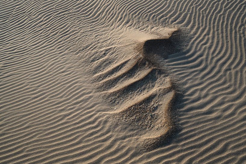 Muster im Sand von Rik Verslype