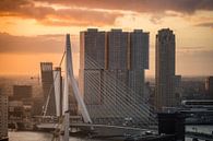 Lever de soleil à Rotterdam par mirrorlessphotographer Aperçu
