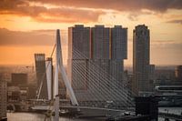 Rotterdam during sunrise