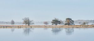 Panorama Dwingelderveld