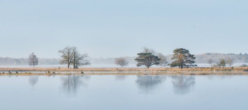 Panorama Dwingelderveld van René Vos