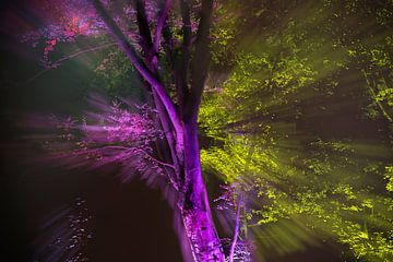 explosion de la forêt enchantée sur Karin vanBijlevelt