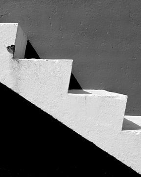 Witte trap tredes in zwart-wit