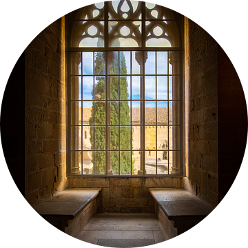 Uitzicht uit middeleeuwse ramen van het klooster van Poblet in Spanje van Wout Kok