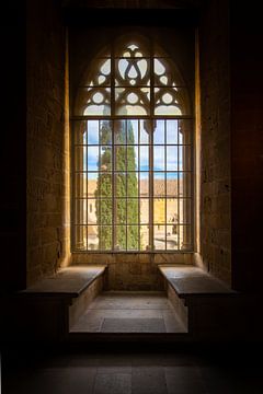 View from medieval windows of the monastery of Poblet in Spain by Wout Kok