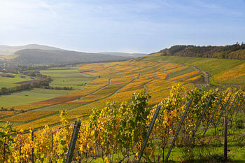 Un paysage coloré