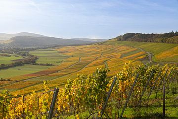 Bunte Landschaft von Gottfried Carls