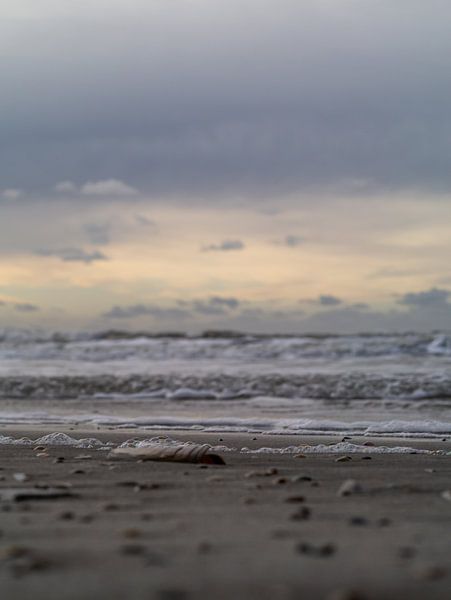 Strand mit Muscheln von Mr White Takes Pictures