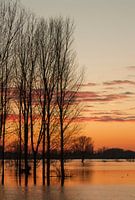 Coucher de soleil