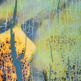Cracked green by Jeannet Zwols  Fotografie