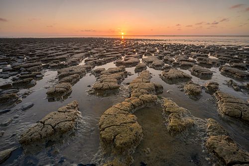Sunset on the mud flats