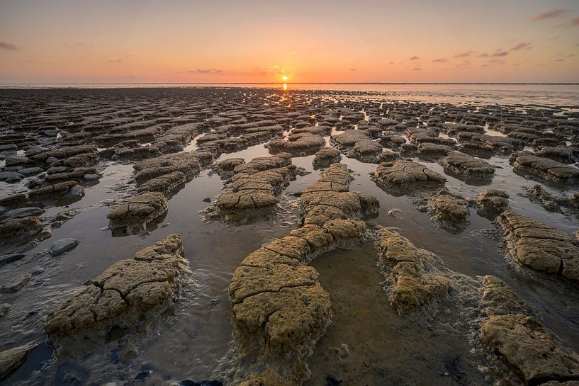 Sunset on the mud flats by Douwe Schut