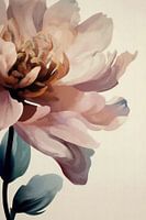 Moderne dahlia
