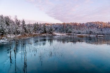 Winters meer van Axel Weidner