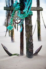 Anchor by Shoots by Laura