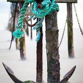 Anchor by Shoots by Laura