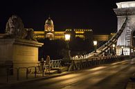 Boedapest kasteel par Erwin Zwaan Aperçu