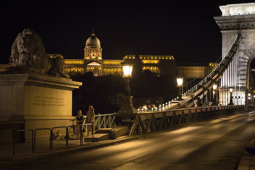 Budapest castle von Erwin Zwaan