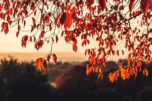 Herbstfarben