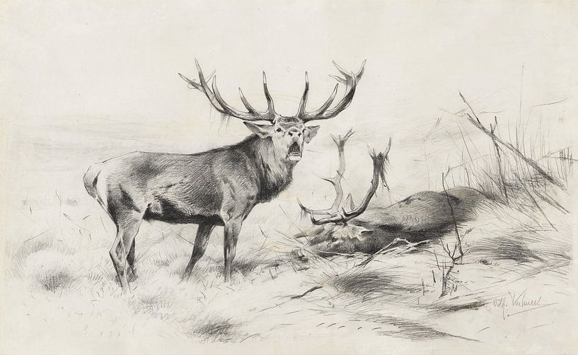 Reports (red deer), WILHELM KUHNERT, 1920 by Atelier Liesjes