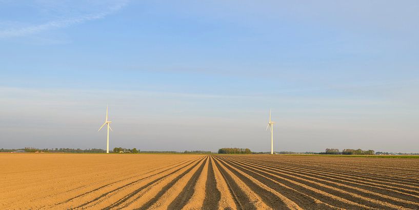 Vers geploegd aardappelveld met rechte aardappelruggen van Sjoerd van der Wal Fotografie