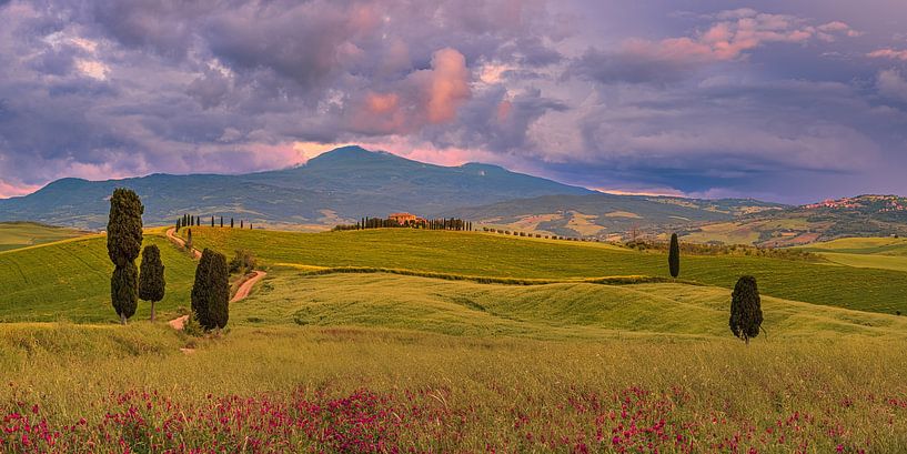 Agriturismo Podere Terrapille by Henk Meijer Photography