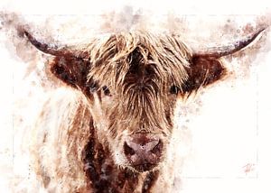 Bœuf Highland