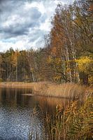 Herbst am See