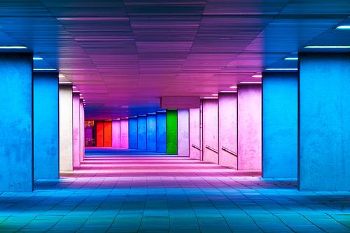 Niederländisches Institut für Architektur, Rotterdam