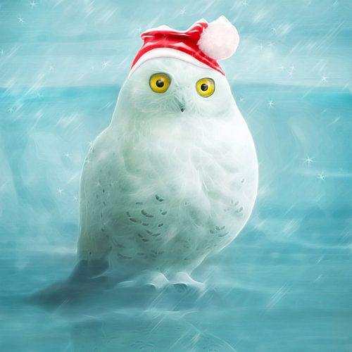 Snowball goes xmas