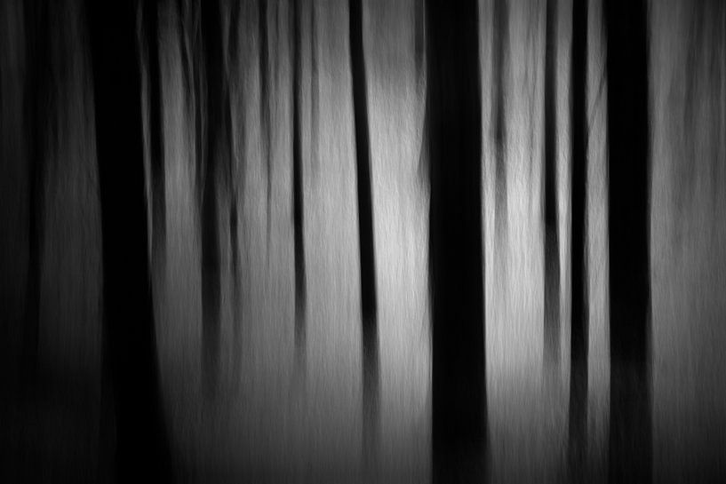 Un paysage abstrait 2 par Danny Budts