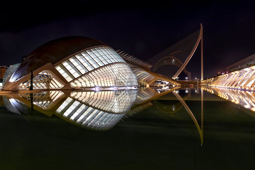 Museu de les Ciències Príncipe Felipe, Valencia by Tilly Meijer