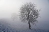 Landschap in de mist van Heiko Kueverling thumbnail