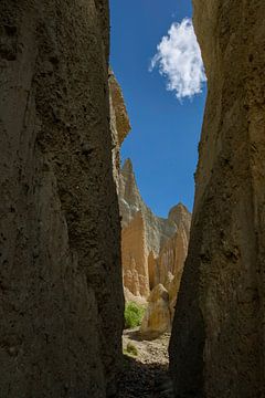 Gorge dans la chaîne de montagnes Clay Cliffs Oamaru. Île du Sud. Nouvelle-Zélande sur Albert Brunsting