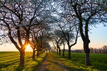 Wege zur Entspannung XVII