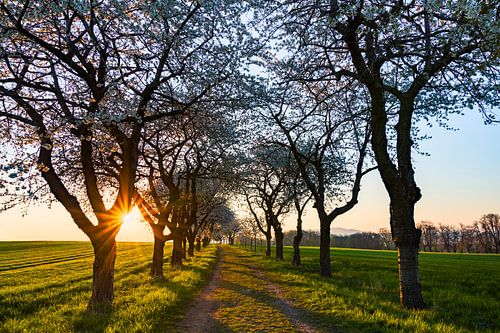 Paths to relaxation XVII