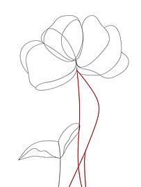 Retrouver la couleur