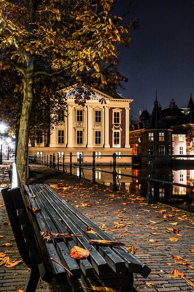 Den Haag op zijn mooist! von Dirk van Egmond