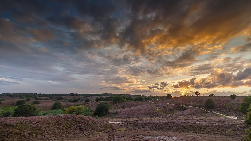 The Posbank. by Menno Schaefer