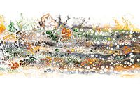 Herfst rivier.