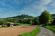 Die Ronneburg in der Wetterau von Thomas Riess Miniaturansicht
