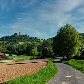 Die Ronneburg in der Wetterau von Thomas Riess