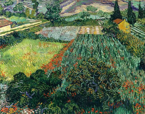 Vincent van Gogh. Veld met klaprozen