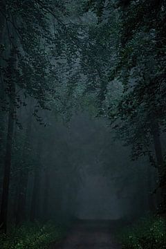 Regen in het donkere bos van Leny Silina Helmig
