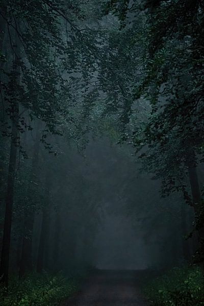 Pluie dans la forêt sombre par Leny Silina Helmig