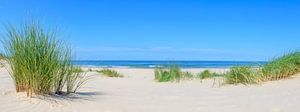 Panoramablick auf den Strand im Sommer an der Nordsee