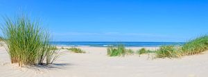 Vue panoramique de la plage en été sur la mer du Nord sur Sjoerd van der Wal Photographie