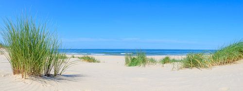Strand in de zomer aan de Noordzee van Sjoerd van der Wal Fotografie